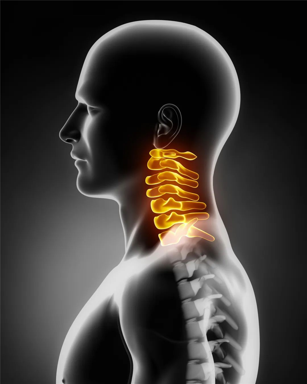 Spine Knowledge Lecture 4: How to avoid spine damage in daily life?